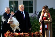 President Donald Trump with first lady Melania Trump, gives “Peas,” one of the National Thanksgiving Turkeys, an absolute pardon during a ceremony in the Rose Garden of the White House, in Washington, Nov. 20, 2018 (AP photo by Manuel Balce Ceneta).