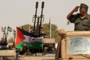 A Sahrawi soldier salutes during a military parade.