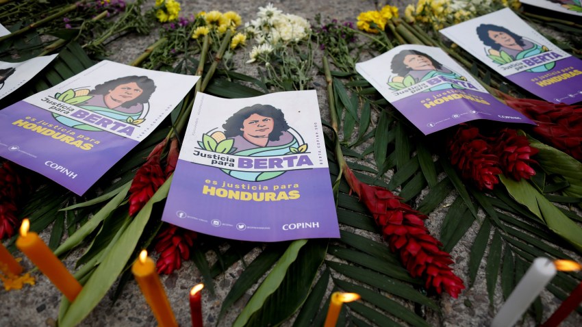 Honduras Needs Its Environmental Activists to Battle Deforestation